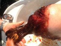 Lorelei Shellist image consultant getting hair colored at Dry Cuts - How to match your roots to your ends.