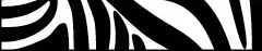 graphic-zebra-btm