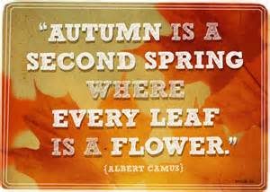 Fall Forward into your life!